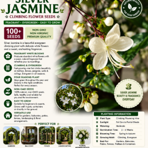 weeping jasmine seeds white jade butterfly