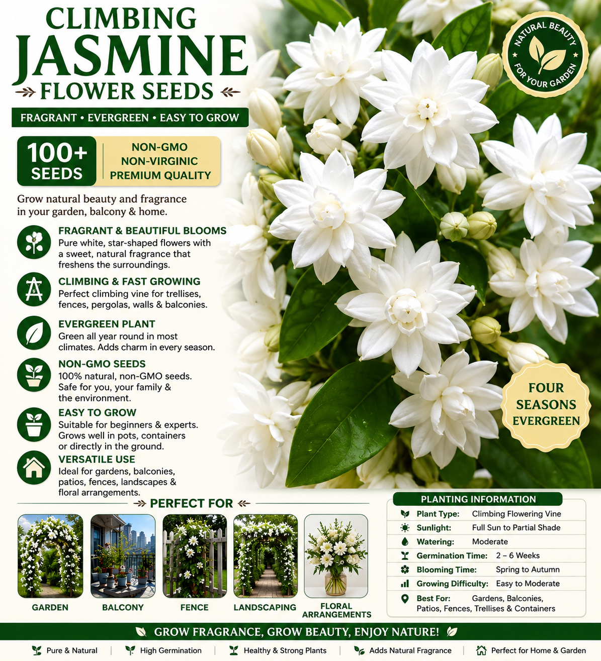 100+climbing jasmine flower seeds fragrant plant for planting garden home four seasons evergreen silver jasmine garden balcony climbing flower non gmo 100+climbing jasmine flower seeds fragrant plant for planting garden home four seasons evergreen silver jasmine garden balcony climbing flower non gmo