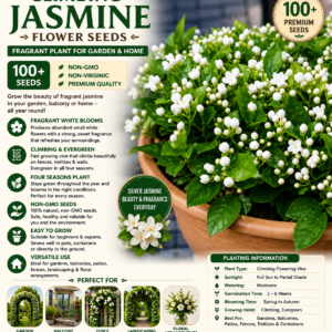 climbing jasmine flower seeds fragrant plant for planting garden home four seasons evergreen silver jasmine garden balcony climbing flower non gmo