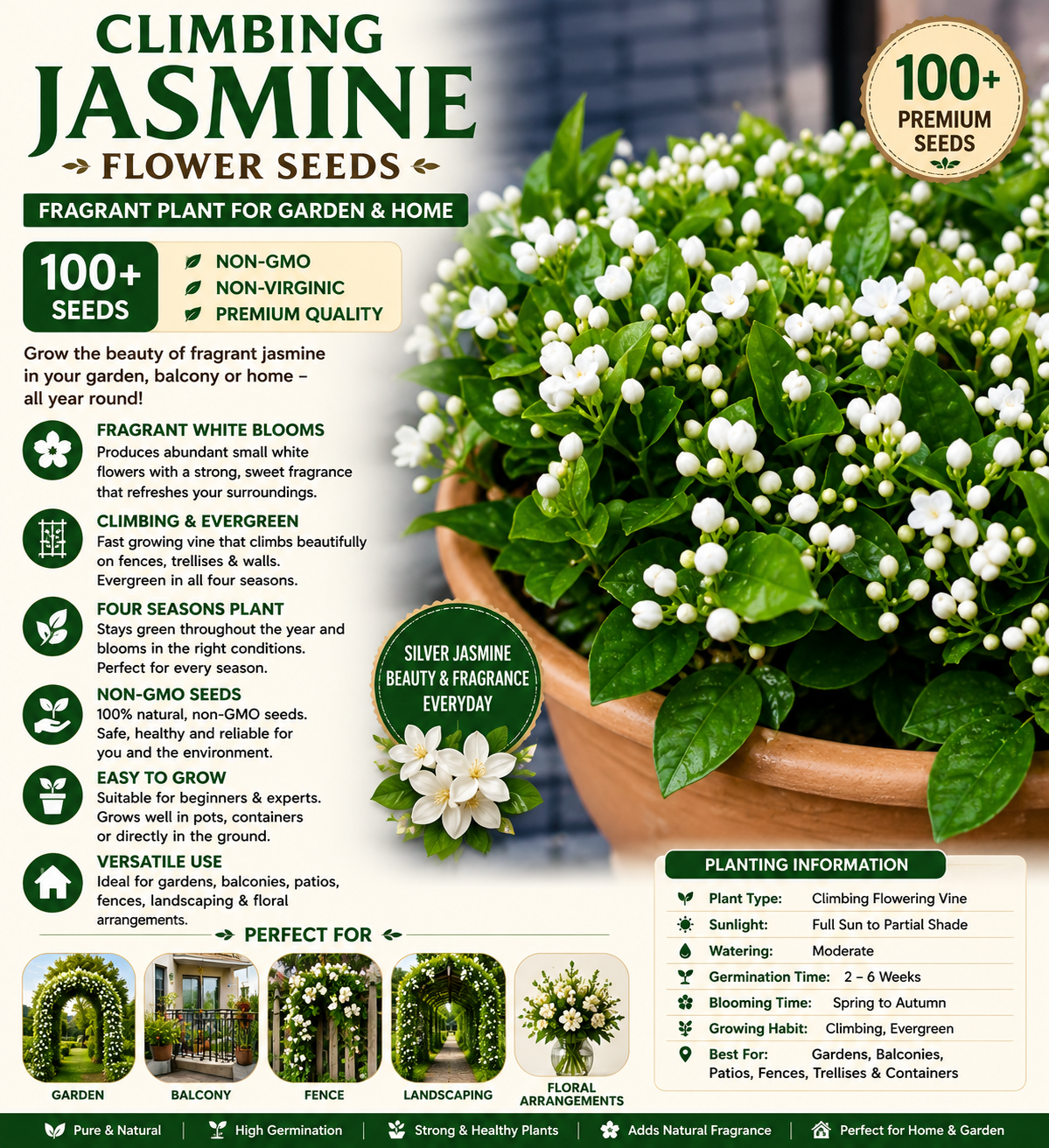 climbing jasmine flower seeds fragrant plant for planting garden home four seasons evergreen silver jasmine garden balcony climbing flower non gmo climbing jasmine flower seeds fragrant plant for planting garden home four seasons evergreen silver jasmine garden balcony climbing flower non gmo